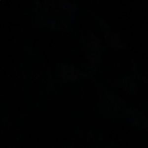 Meet your Posher, Shea